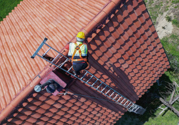 Best Chimney Flashing Repair  in Wellington, FL